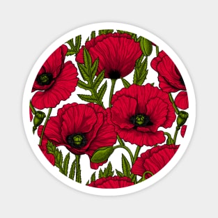 Red poppy garden on white Magnet